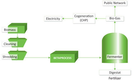 Processflow bio-gas production