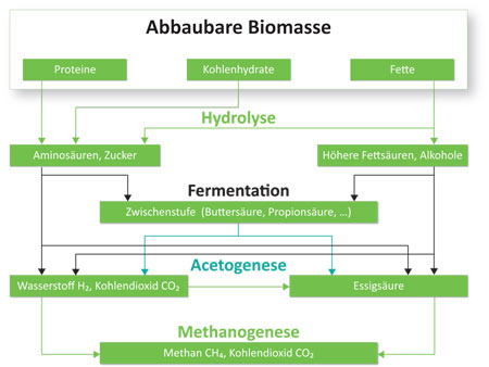 Betaprocess