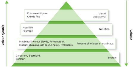 Waarde-piramide
